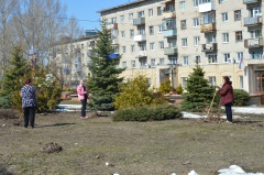 Все на субботник!